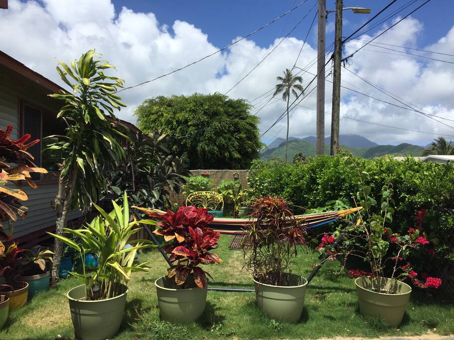 On the beautiful front yard with tropical plants and trees you can enjoy a recliner and a hammock with an umbrella.