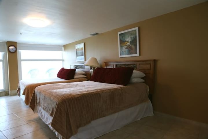 Amazing large apt with balcony and ocean view
