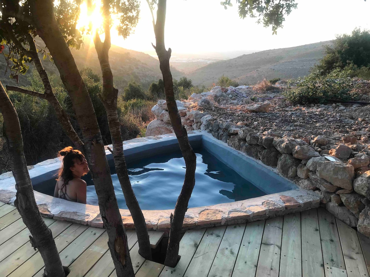 A stone bath is nestled among natural surroundings, with trees framing the scene and a scenic view of rolling hills in the background. Warm sunlight filters through the trees, creating a serene atmosphere around the bathing area.