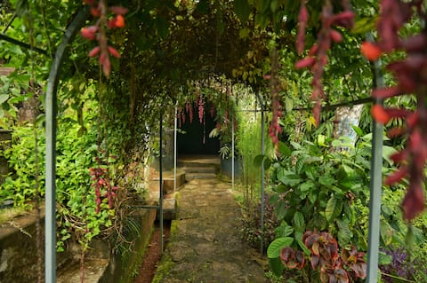 Hobbit House, Silver Oaks Nature Retreat