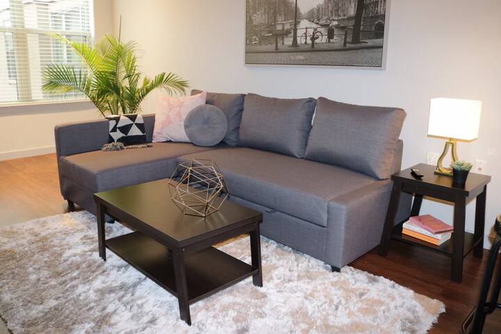 Galleria/Upper Kirby/Montrose Chic Modern Apt