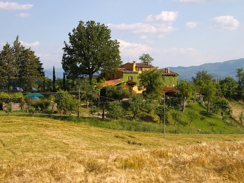 Le Due Volpi, country house with swimming pool