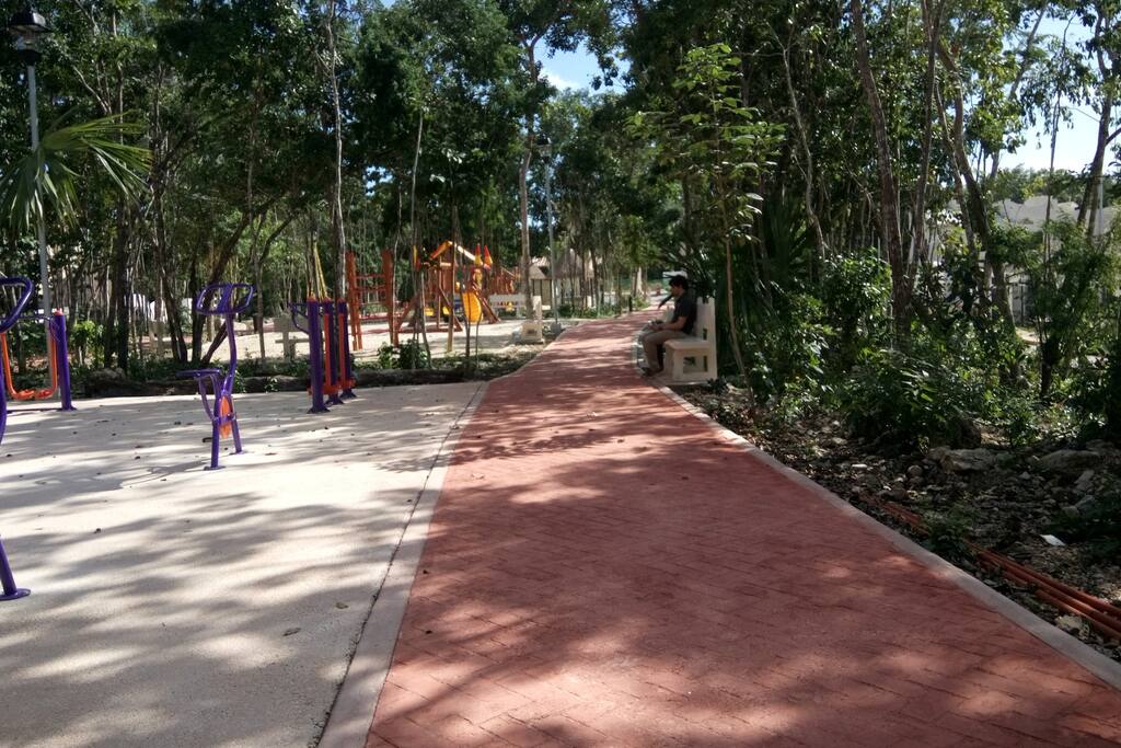 Paseo selvático
