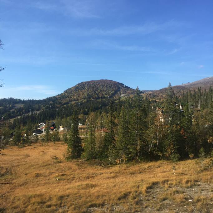 View in august.