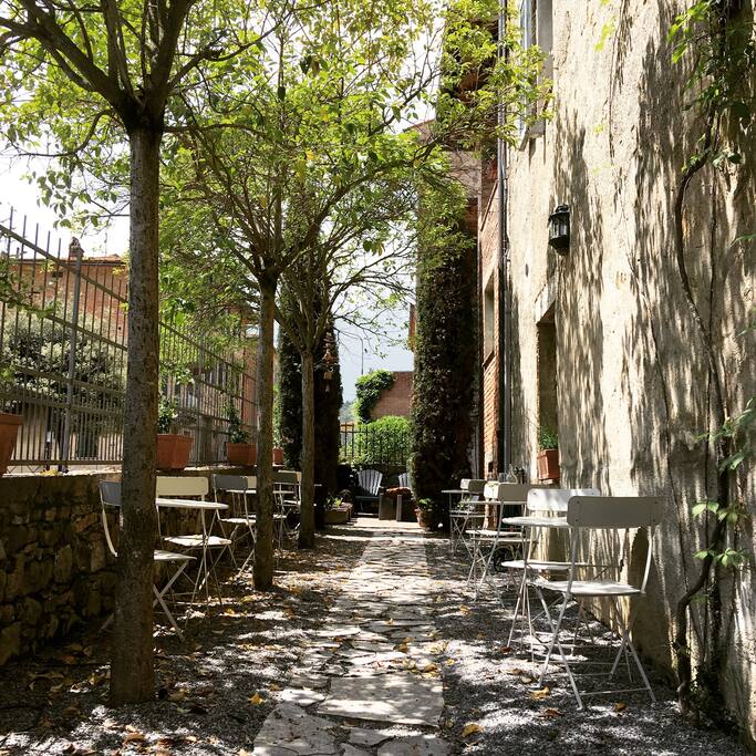Terras/Garden