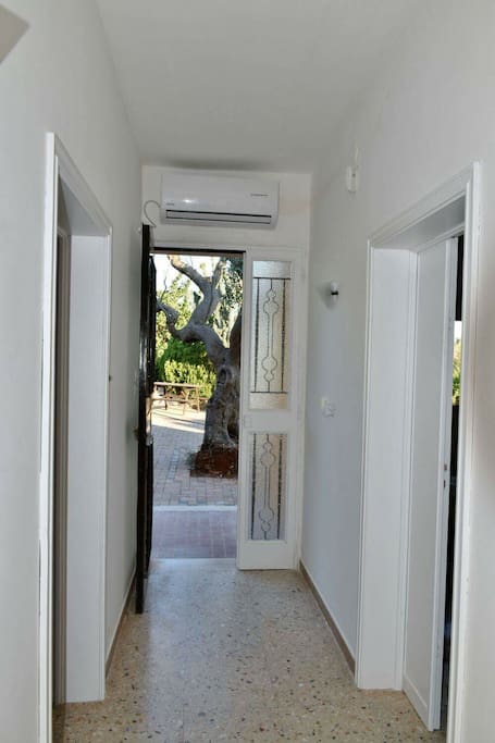 Ingresso