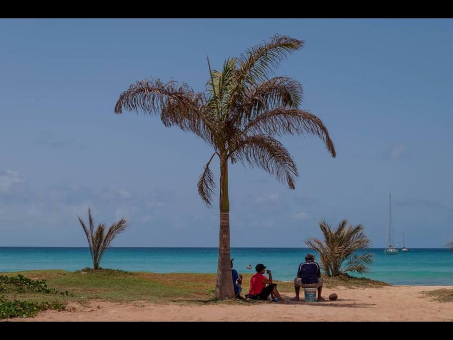 Typical beach scene in front of apartment, beautiful turquoise sea. Breathtaking!!