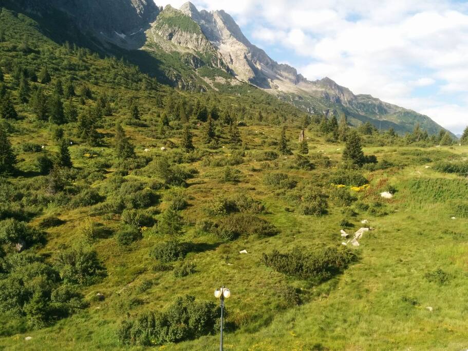 Vista dall'appartamento (estate)
