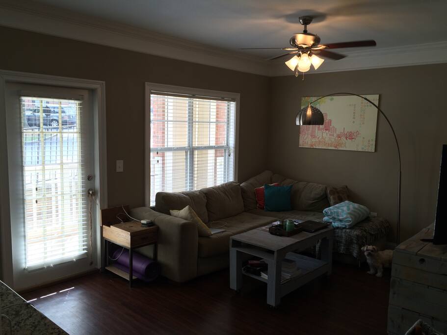 Living room. Cable, Netflix, Roku tv. Plenty of board games. Outside patio access. iLight.