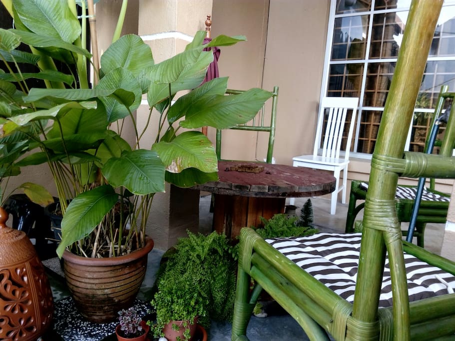 Outdoor garden and chairs.