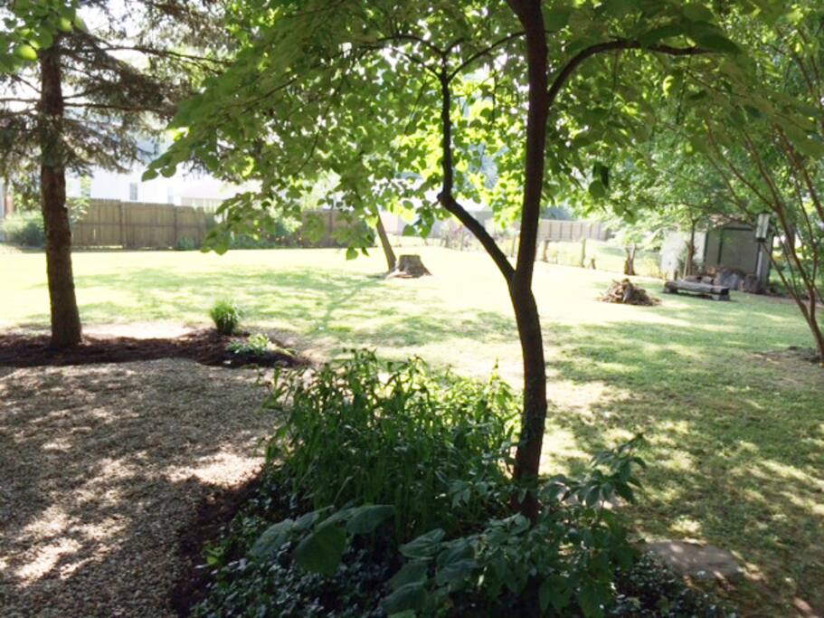 Fully fenced, private backyard