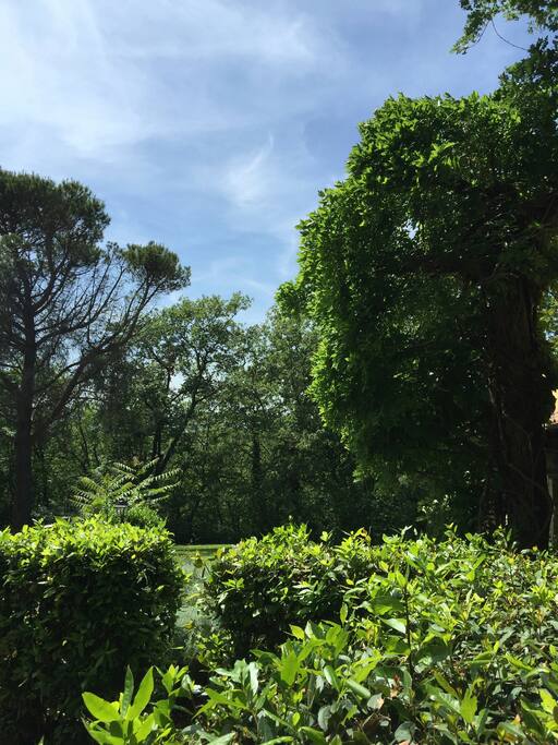 Garden View