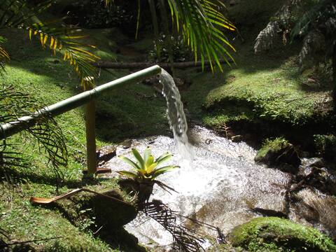 Canto dos Sonhos - Visconde de Maua