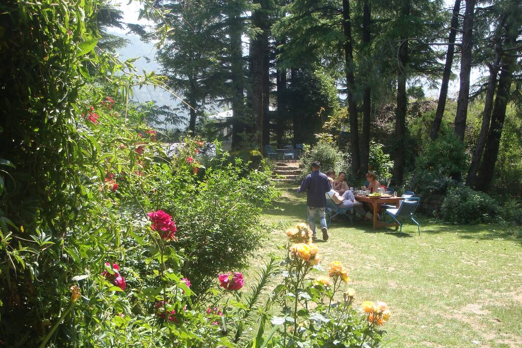 Hotel Garden