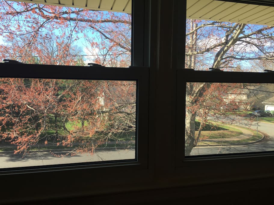 View from the private bedroom