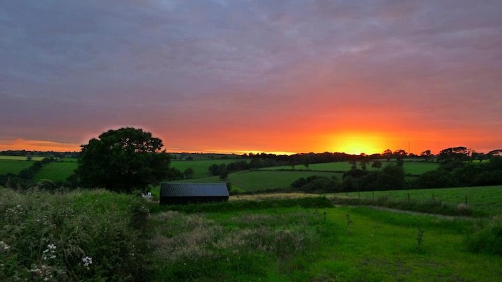 Tin Haven Writer’s photo 5