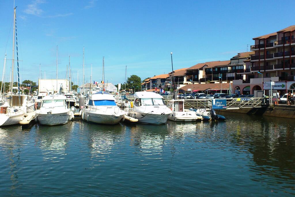 le port et ses commerces adossés à la résidence