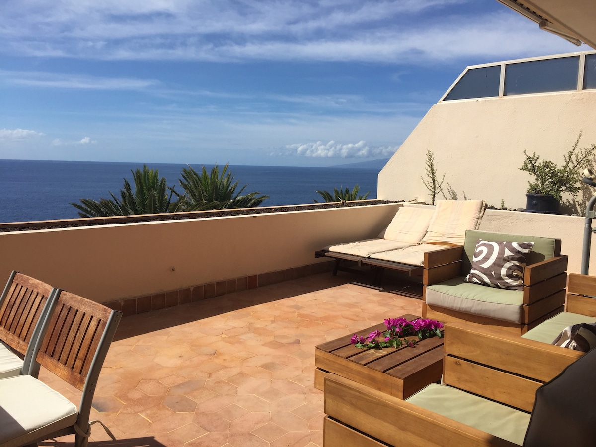 A spacious terrace overlooking the sea is furnished with wooden lounge chairs and a comfortable seating arrangement. Potted plants and vibrant flowers add a touch of greenery to the space. The clear blue sky and ocean enhance the serene ambience.