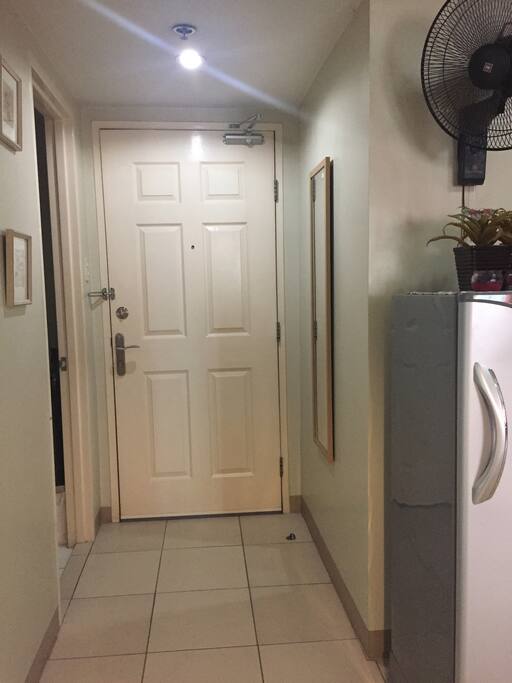 Entrance door and foyer