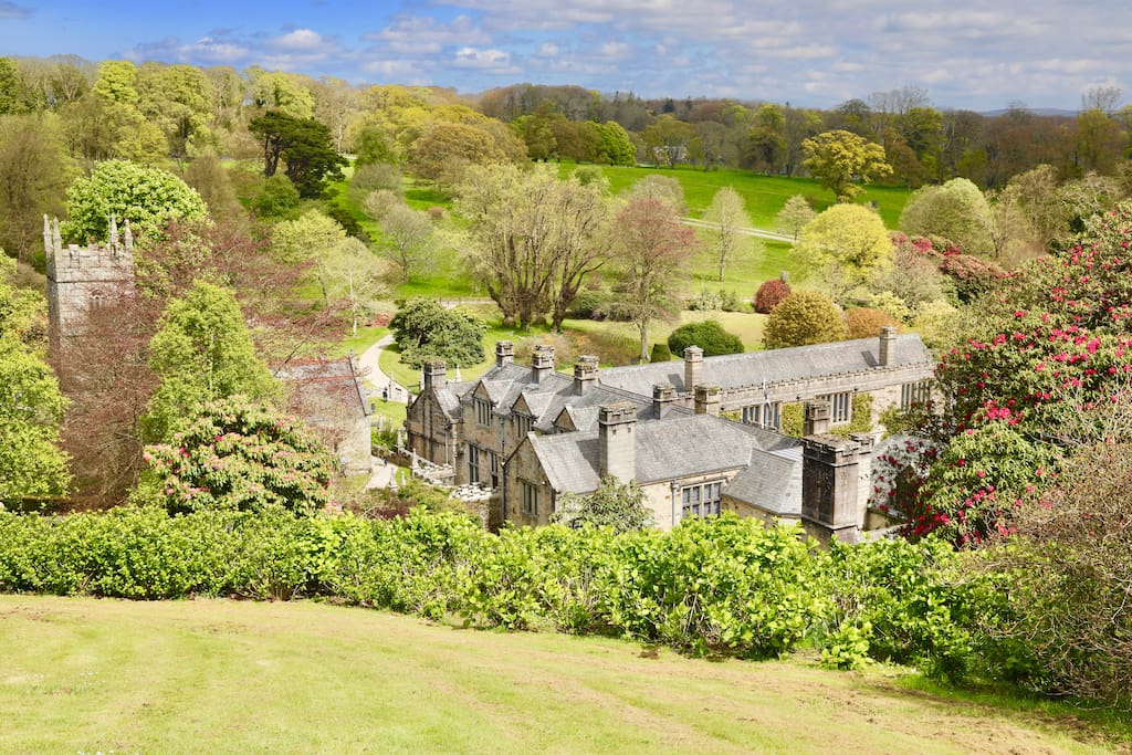 Lanhydrock - our back garden!