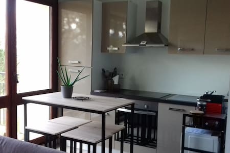 Appt "cocon" lumineux de 32 m2 + balcon sur parc