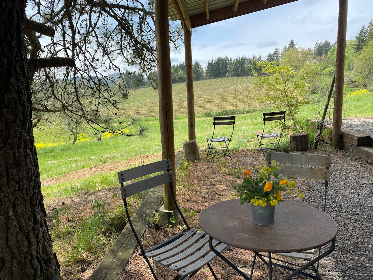 An outdoor seating area features a round table and four metal chairs under a covered porch. A small flower pot adds a touch of color. In the background, rolling vineyards and a greenery line the landscape, extending toward a cloudy sky.