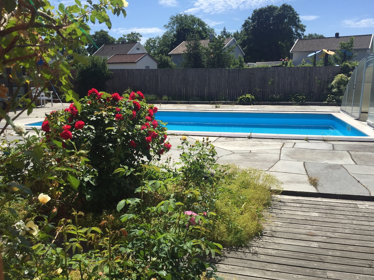A serene outdoor space is highlighted by a large swimming pool set against a backdrop of greenery. Colorful flowers include red roses and other blooms, framing the pool area. Natural stone tiles and wooden decking create a welcoming pathway leading to the pool.