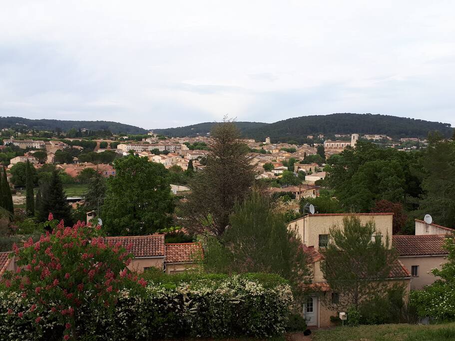 The view