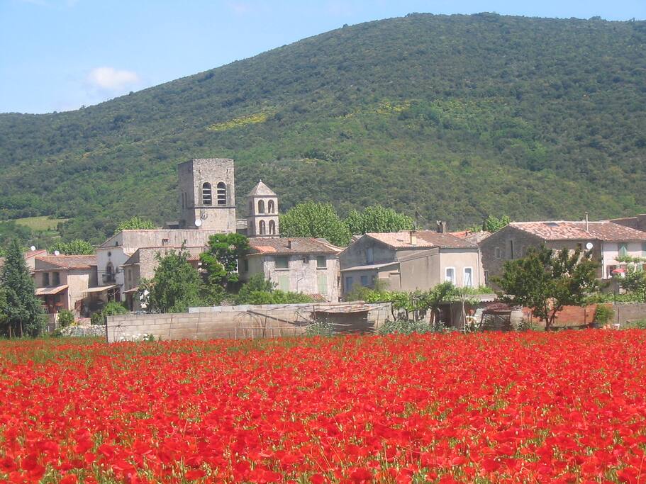Villemagne l'argentière au printemps