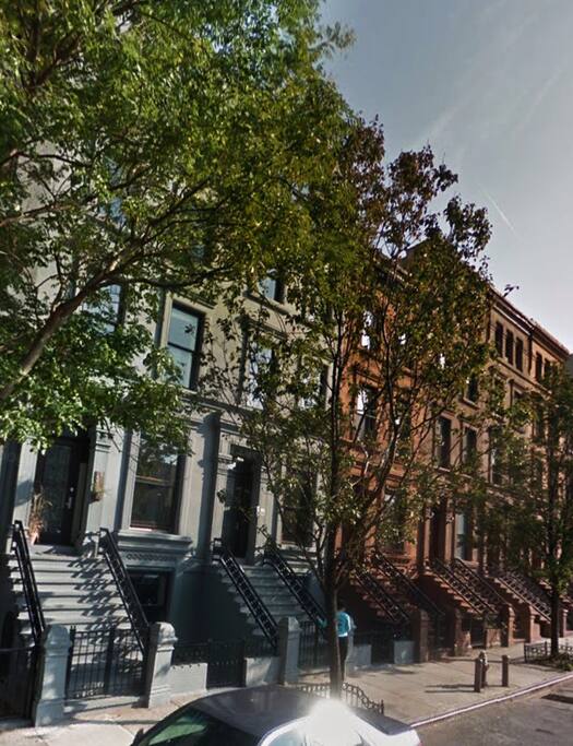 Beautiful Residential Tree-Lined Street