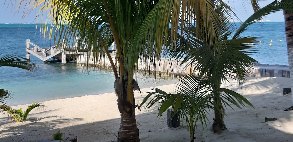 A tranquil beach scene is framed by palm trees, casting gentle shadows on the soft sand. In the background, a wooden pier extends into the clear blue water, enhancing the serene coastal atmosphere.