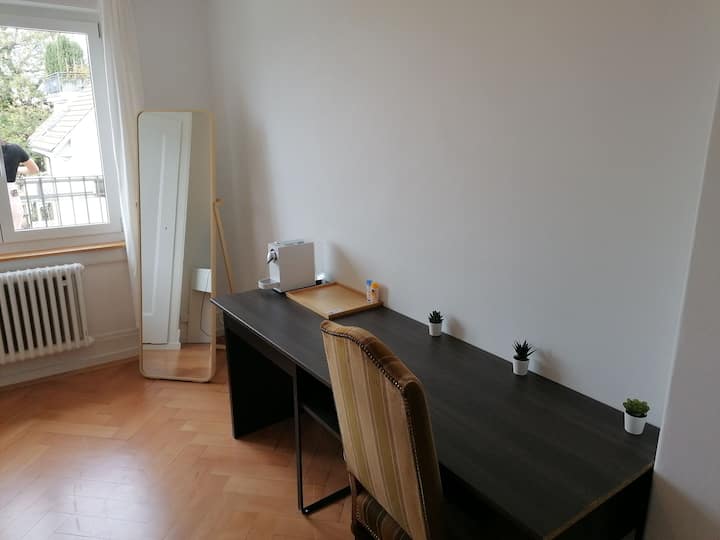 Zürich Holiday Rentals & Homes Zurich, Switzerland Airbnb