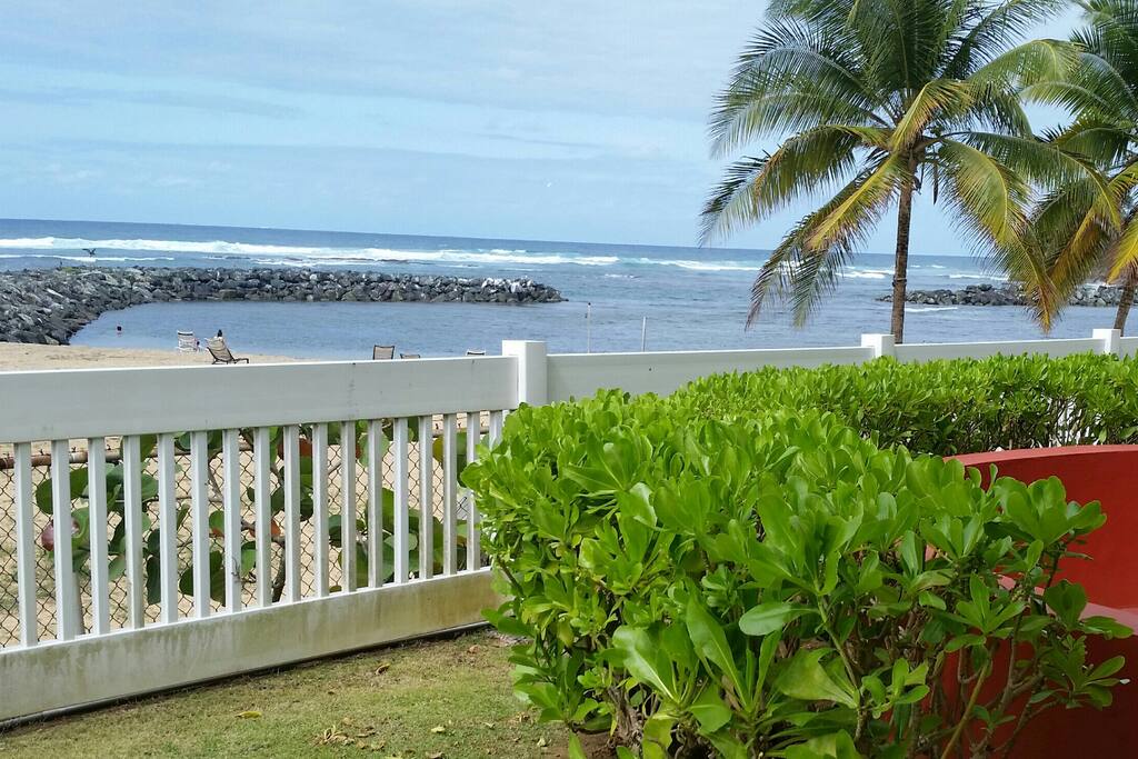 Beach view. your daily view!