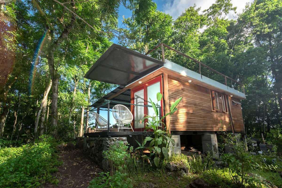 Tiny house surrounded by a cedar forest Tiny houses for Rent in