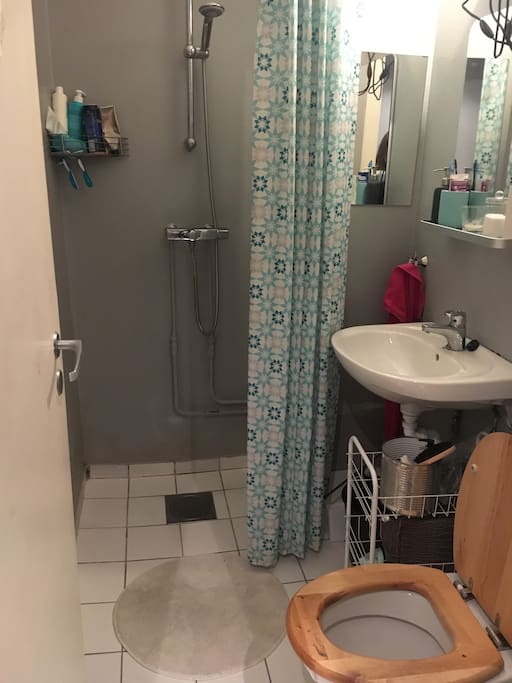 The bathroom - like the apartment small but cozy.
