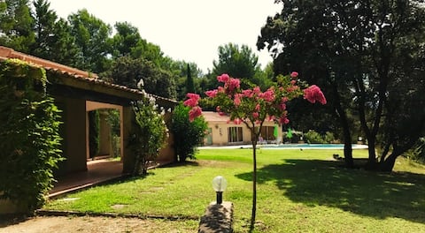 L'Isle sur la Sorgue-Villa in large private garden