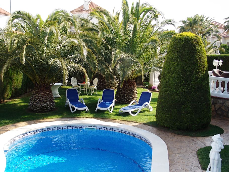 Pool und Garten mit Liegen und Palmen.