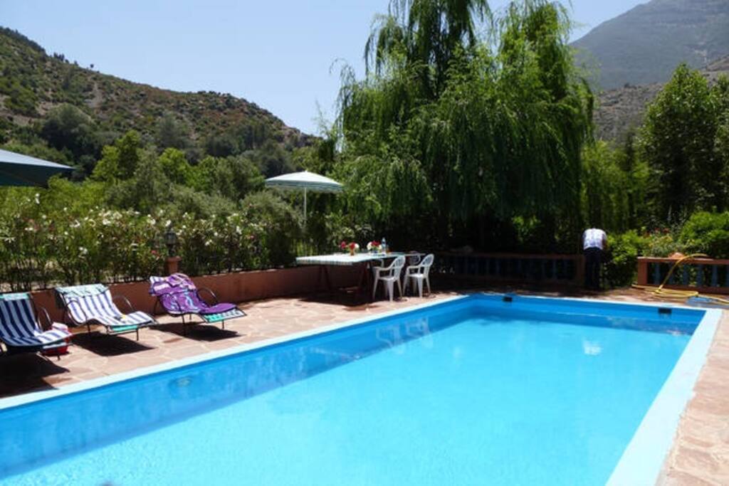 Vous serez comme des rois autour de notre piscine ou au jardin.