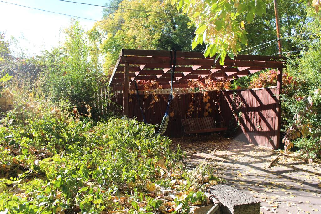 Backyard Swing