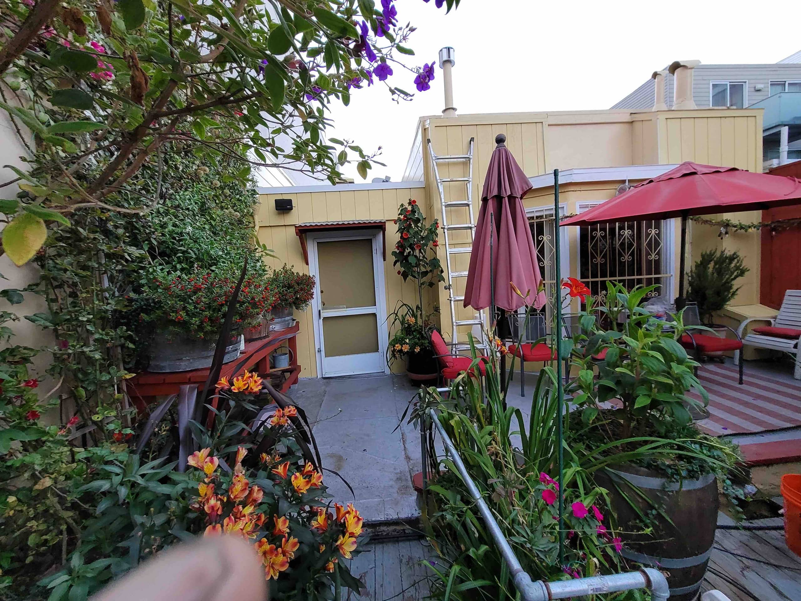 Home in San Francisco · ★4.98 · 2 bedrooms · 1 bed · 1 bath - Image 49