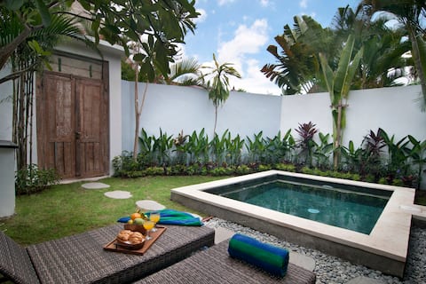FANTASTIC 1 BR VILLA, PRIVATE POOL.. WALK TO BEACH