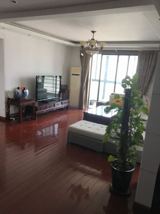 Living room - TV + Balcony