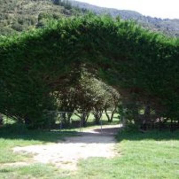 Entrance off Queen Charlotte Track