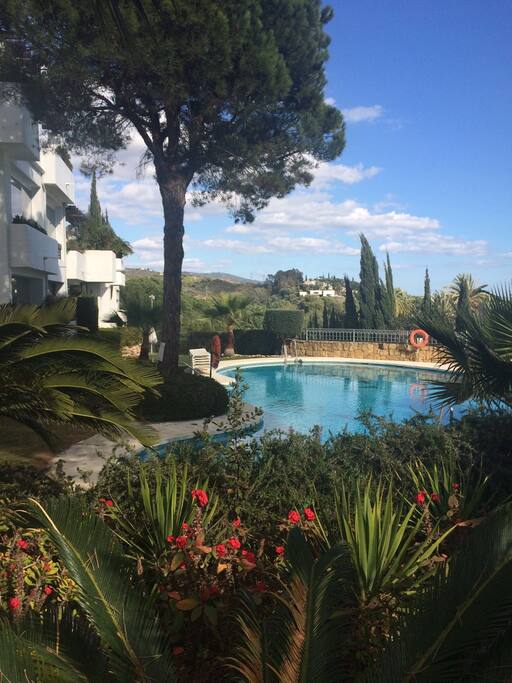 Mature gardens around the pool area.
