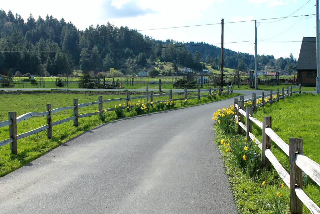 Front driveway to street. Beautiful views of the meadows and forested mountains