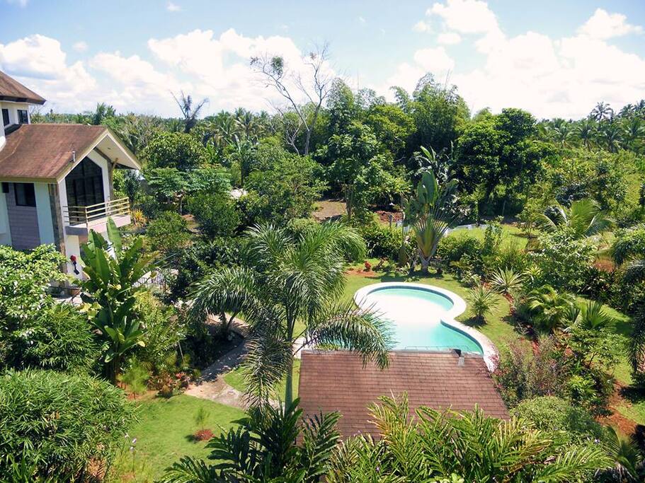 Rear gardens and pool
