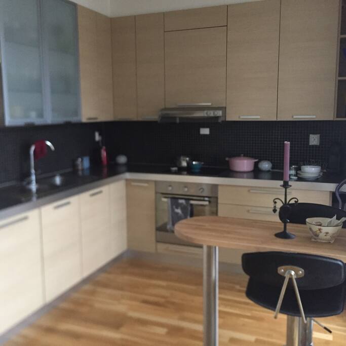 Kitchen with all you need. Micro and dishwasher