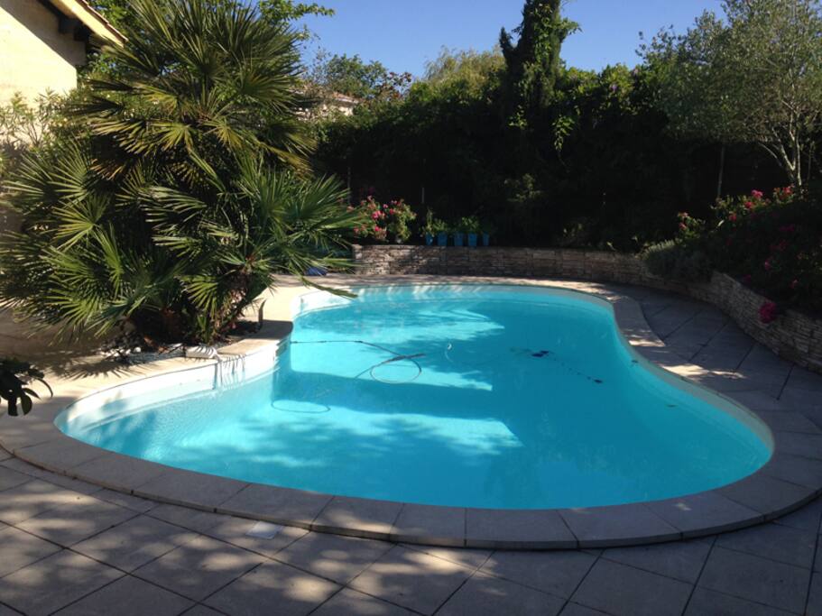 Piscine, jardin paysagé, ensoleillement