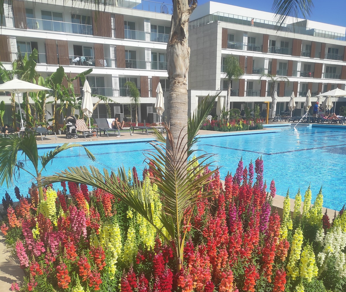 A vibrant display of colorful flowers is situated in front of a large outdoor swimming pool. Sun loungers and umbrellas are positioned around the pool, with a modern building visible in the background under clear blue skies.