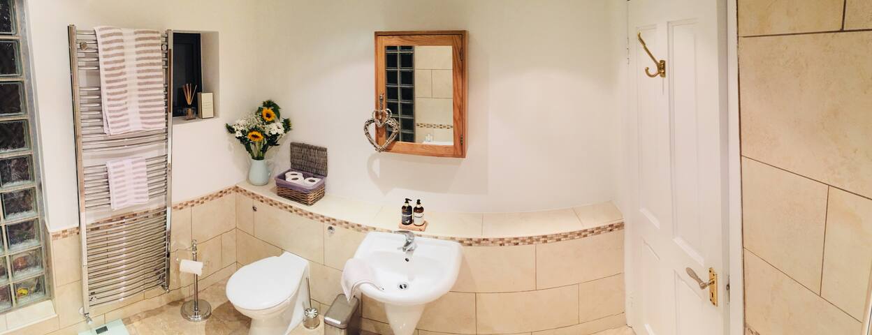 Clontarf Seafront Luxury – Victorian Period House gallery image 4